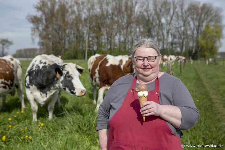 Christel maakt ijs met melk van eigen koeien: “Eén koe zorgt op een dag voor 80 liter ijs”