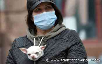 Scientific American Coronavirus News Roundup, April 24–April 30 - Scientific American