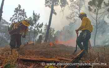 Se registran más incendios forestales en Morelos - El Sol de Cuernavaca