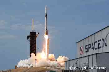 SpaceX Asked by NASA to Halt Lunar Lander Work Pending Contract Challenges