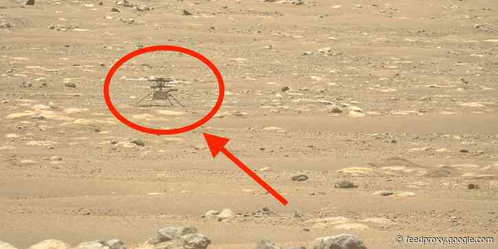 NASA's Mars helicopter has beamed back an otherworldly collection of photos and video from its first 4 flights
