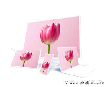 Mockup Generator - Create beautiful product mockups in just a few clicks