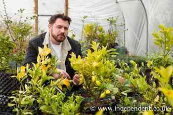 The Black Swan’s Tommy Banks on food boxes, foraging and his favourite ingredients - The Independent
