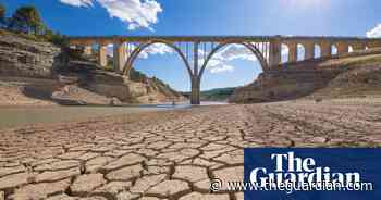 Climate crisis: our children face wars over food and water, EU deputy warns - The Guardian