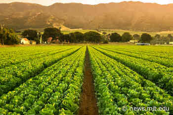 Robotic solution for disinfecting food production plants wins agribusiness prize - MIT News