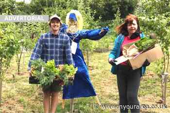The local nursery that's been busy donating food plants to the community - In Your Area