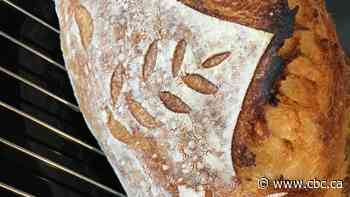 How the pandemic triggered memories of going hungry — and how sourdough soothed my fears