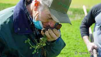 How regenerative farming could help Canada meet its new carbon emission targets
