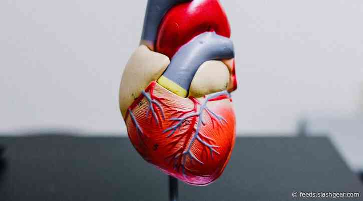 Popular omega-3 supplements may spike AFib risk in some people