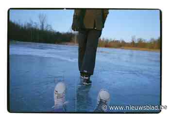 Kinderen tonen hun wereld in foto-expo