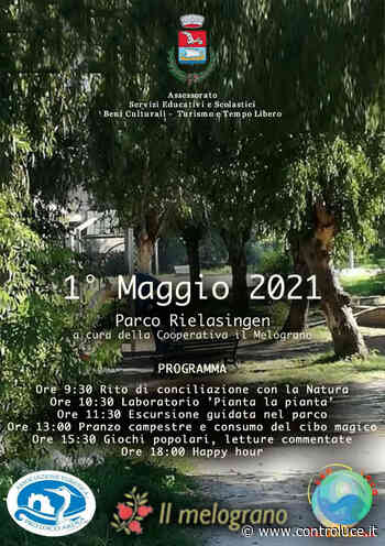 SECONDA DISTRIBUZIONE BUONI SPESA COVID19 COMUNE DI ARDEA - Controluce Notizia