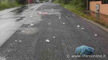 Ardea, bollino sui rifiuti non conformi: per ripicca svuota la spazzatura in strada - IlFaroOnline.it