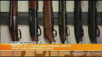Report: NY lawmakers pushing to make gun companies liable
