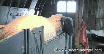 This Week in Agribusiness, May 1, 2021