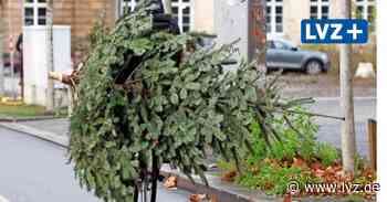 Region Oschatz: Wohin mit dem Weihnachtsbaum? - Leipziger Volkszeitung
