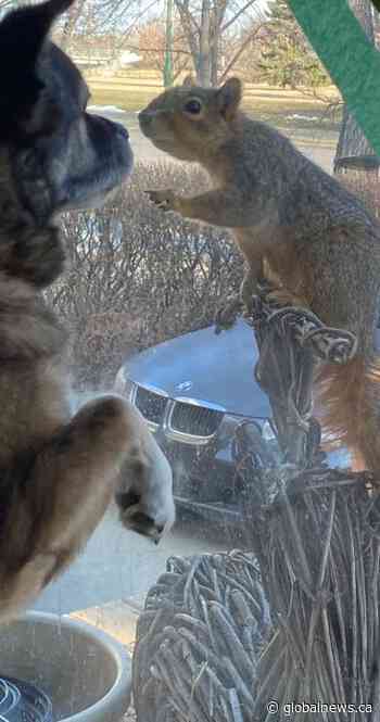 Your Saskatchewan photo of the day: May 2021