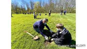 Local Boy Scouts team up, plant thousands of trees