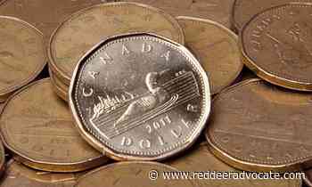 Rising loonie hits ‘sweet spot,’ likely to climb further: economists - Red Deer Advocate
