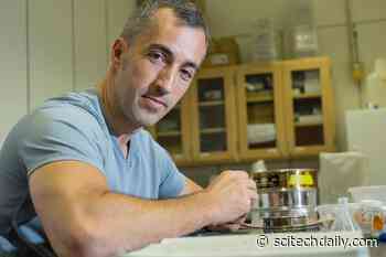 Does Selfishness Evolve? Ask a Cannibal