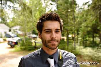 Researchers Warn: AI Algorithms Can Influence People’s Voting and Dating Decisions