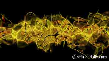 New Optical Device Allows Engineers To Fine Tune the Color of Light