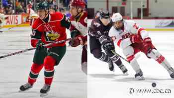 Halifax's Barron brothers make strides toward NHL dream