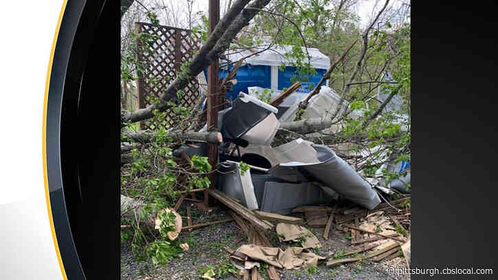 Man Rescued After Tree Falls On Porta Potty At Gettysburg National Military Park