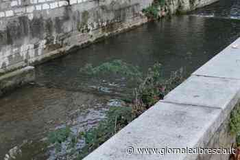Ancora fermo il cantiere che ha inquinato il Garza - Giornale di Brescia
