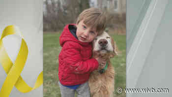 Orchard Park toddler beats brain cancer, his mother now on mission to raise awareness