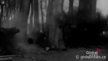 Veteran condemns ‘freedom rallies’