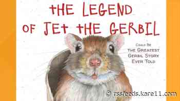 Former Minneapolis CEO releases new children's book