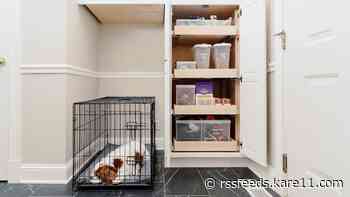 Organization tips for pet owners