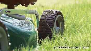 Tips for getting your yard prepped for spring