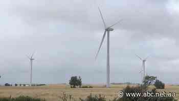 Victoria sets 'ambitious' targets to reach net zero emissions by 2050