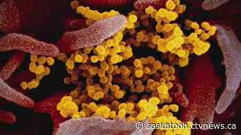 SHA warns of COVID-19 exposure at church in Neilburg