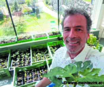 Pitten: Paradeiser-Raritäten und andere Pflanzen werden getauscht - Neunkirchen - meinbezirk.at