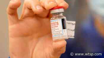 Coronavirus in Florida: State reports 5,419 new cases, 79 deaths - WTSP.com