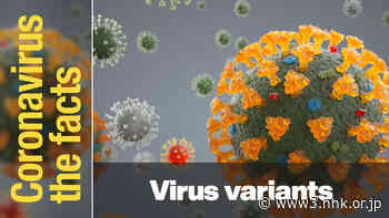 What are the characteristics of the coronavirus variants? - NHK WORLD