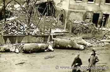 Kriegserinnerungen in Ostfildern: Ein Abend gegen das Vergessen - Ostfildern - esslinger-zeitung.de