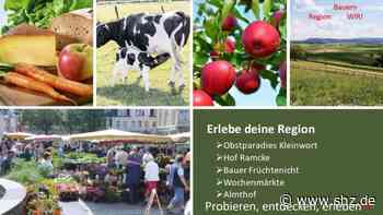 Jugend gestaltet Zukunft: 11. Klasse der KGST aus Tornesch überzeugt die Politik | shz.de - shz.de