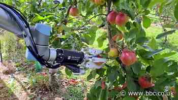 Robotic arm harvests apples and other technology news