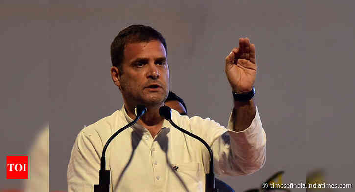 Humbly accept people's mandate: Rahul Gandhi after assembly poll results