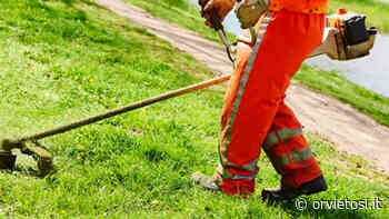 Sfalcio erba e manutenzioni terreni, avviso del Comune di Porano - Orvietosì.it - OrvietoSì