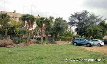 Erba tagliata due volte l'anno: cittadini chiedono la gestione dell'area verde al Miami - TerzoBinario.it