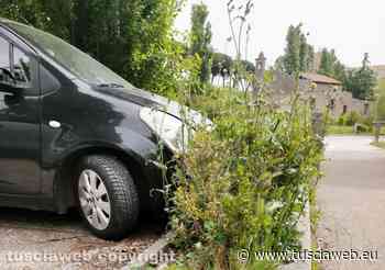 "Altro che filo d'erba, ma fieno per greggi di pecore, capre, mucche..." - Tuscia Web
