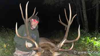 'I hit him good': Trophy elk nets Alberta bowhunter a world record