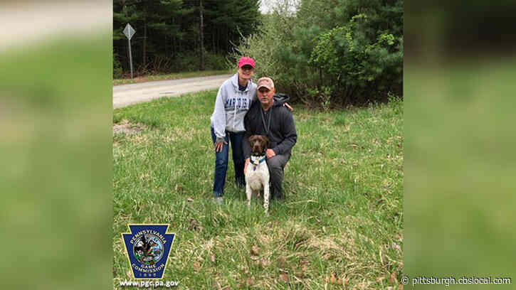 Pa. Game Commission Reunites Couple With Lost Dog In Beaver County