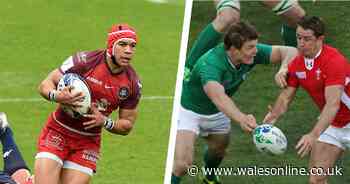 Brian O’Driscoll pinpoints area where Cheslin Kolbe surpasses Shane Williams