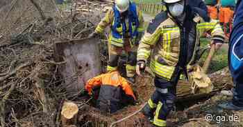 Feuerwehr rettet Hund in Lohmar - Tier landet nach Dachs-Jagd in Kanalisation - General-Anzeiger Bonn