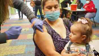 Coronavirus Cases Will Continue To Decline Thanks To Aggressive Vaccinations, Former FDA Head Says - Forbes